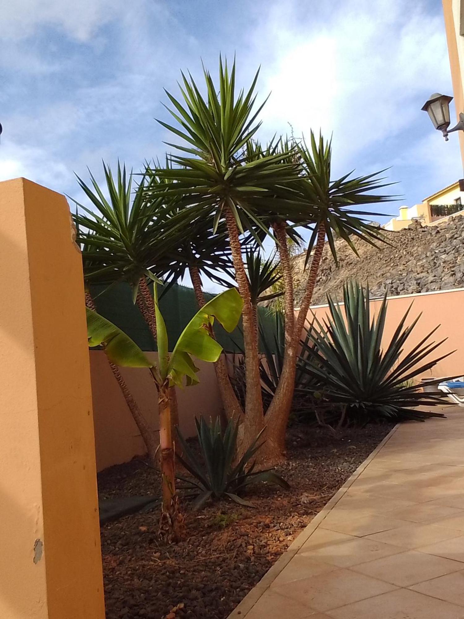 A Casa Di Ilaria Hostel Corralejo Exterior foto
